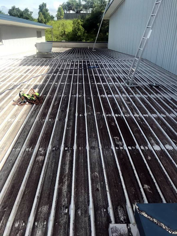 Commercial Building Roof Cleaning Before