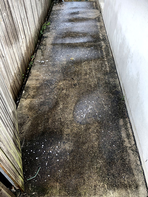 Concrete Pathway Before Pressure Cleaning