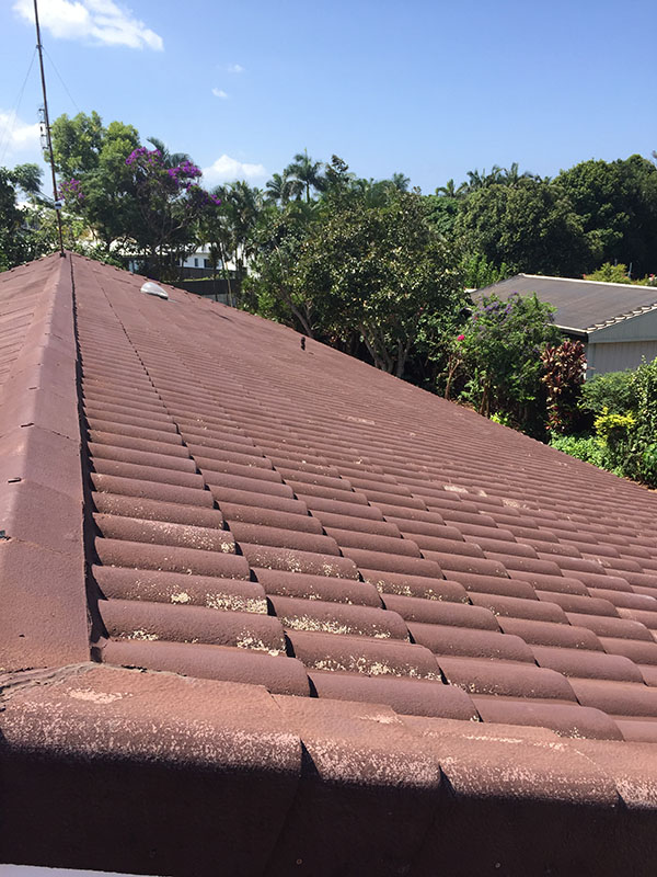 Pressure Wash Roof Cleaning After