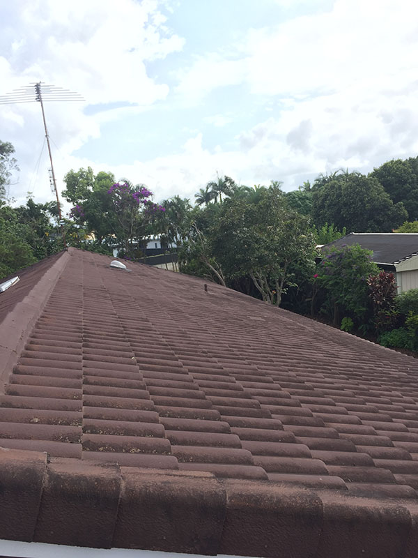 Pressure Wash Roof Cleaning Before