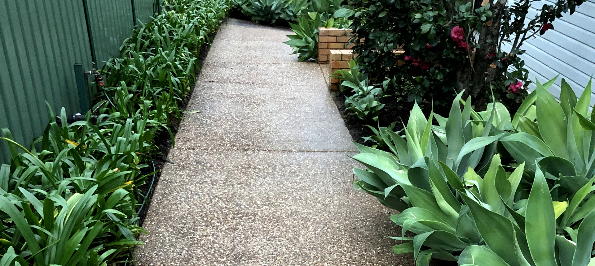 Residential Pressure Washing Clean Path After