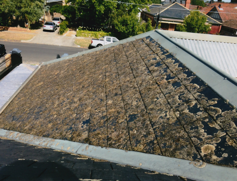 Soft Wash roof Sunshine Coast