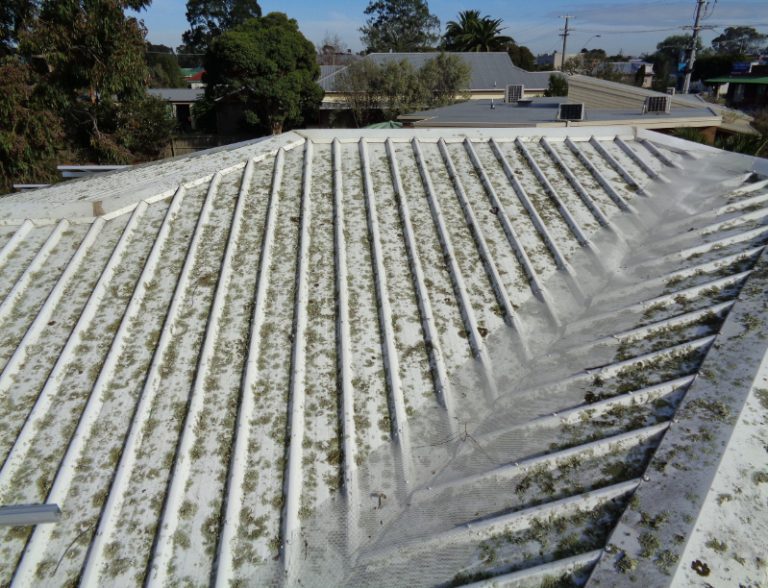 Soft Wash roof before cleaning Sunshine Coast