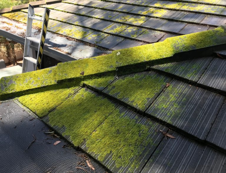 Soft Wash roof before cleaning Sunshine Coast